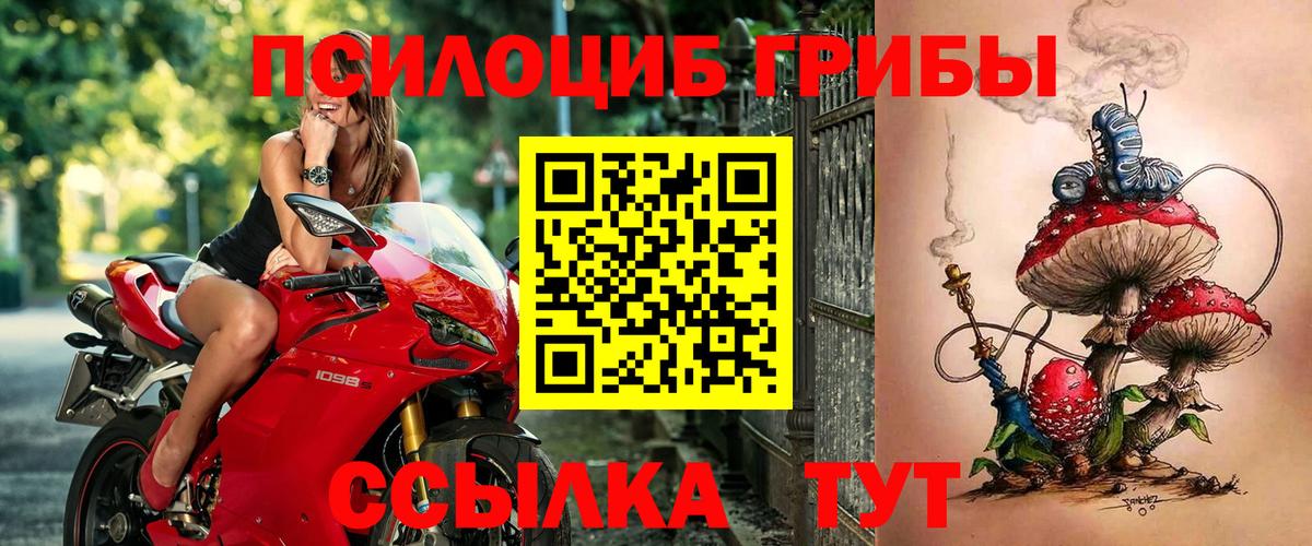 Псилоцибиновые грибы GOLDEN TEACHER  Вход с VPN  Псилоцибиновые грибы GOLDEN TEACHER  даркнет сайт  Мыски 