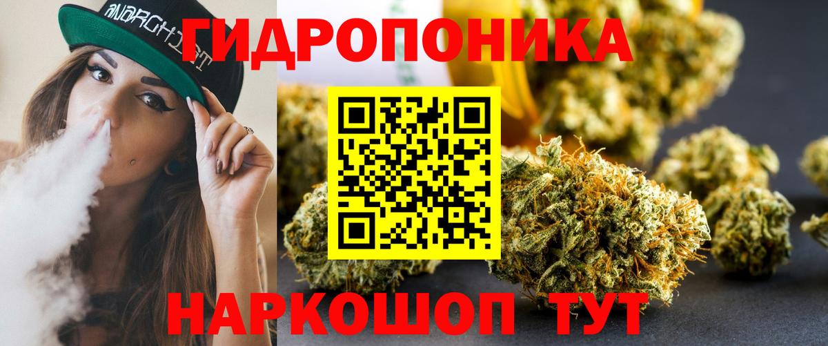 Бошки Шишки MAZAR Мыски